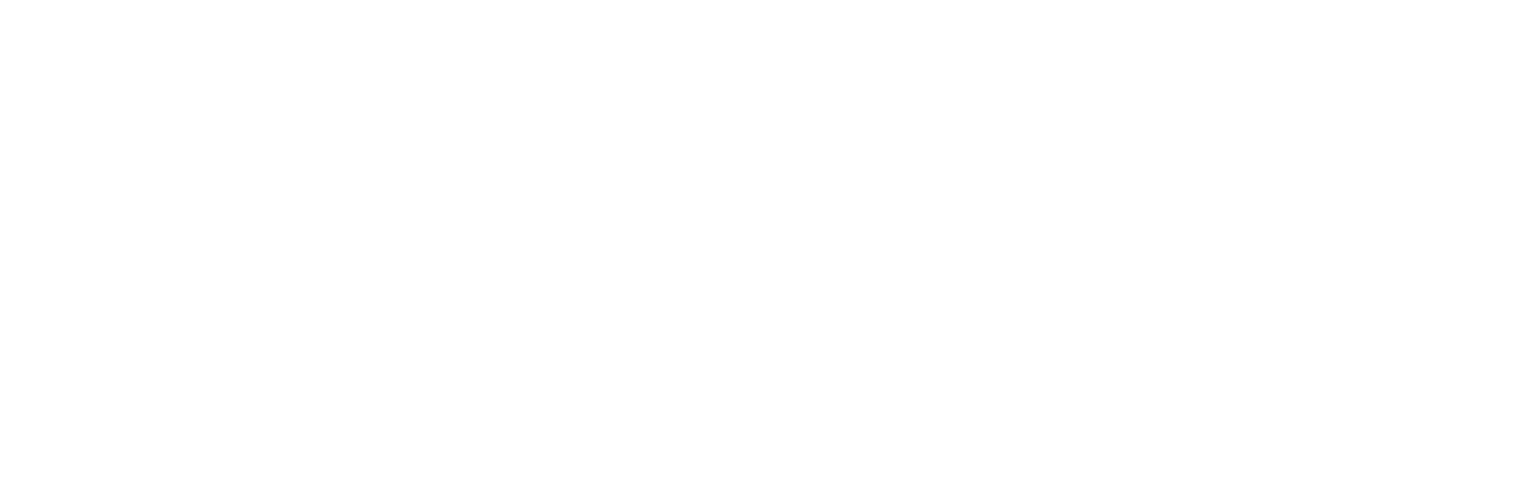 BlowPro