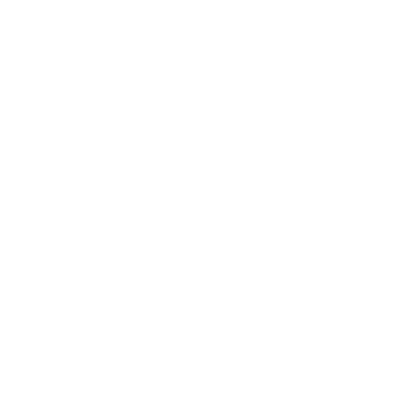 Pet Silk